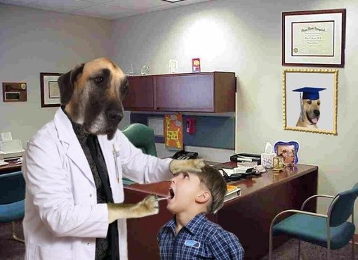 Собака доктор