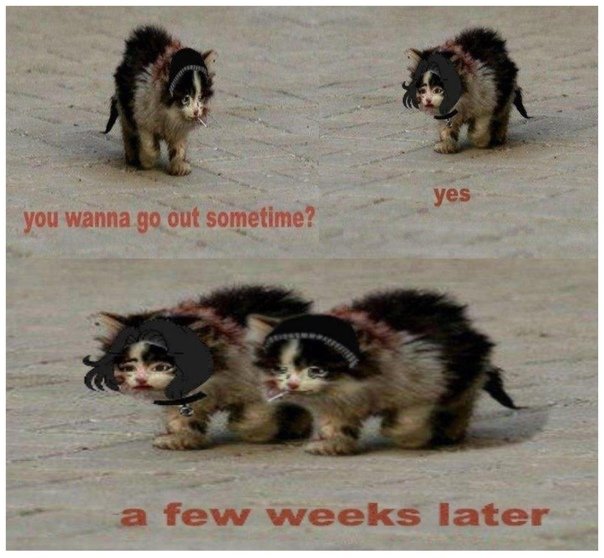 Мем я обязательно выживу с котом