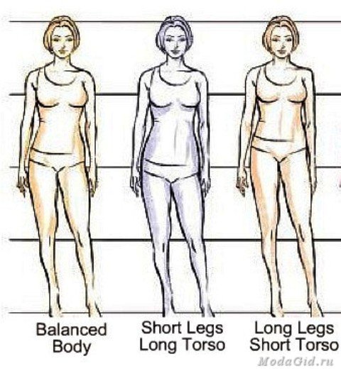 Длинные и короткие ноги