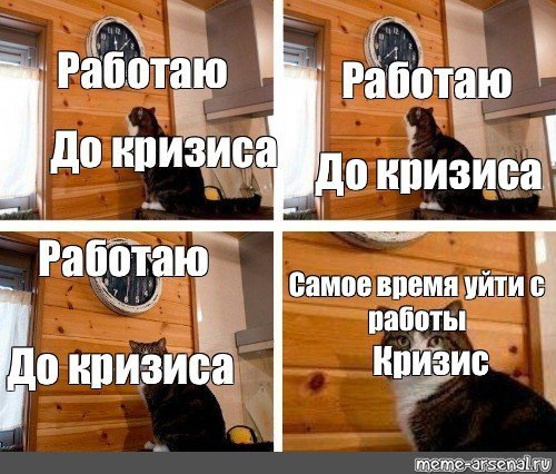 Кот самое время