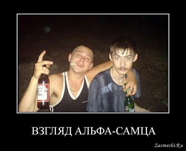 Альфа самец