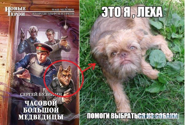 Помогите мне выбраться из собаки