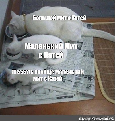 Ваще маленький кот жесть
