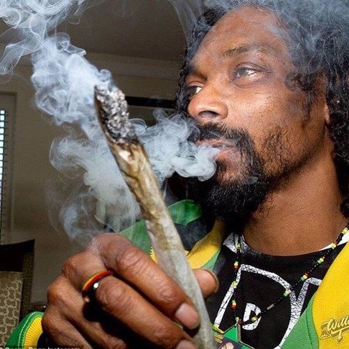 Snoop Dogg растаман