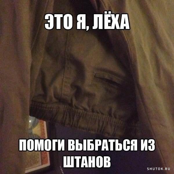 Леха помоги выбраться из собаки