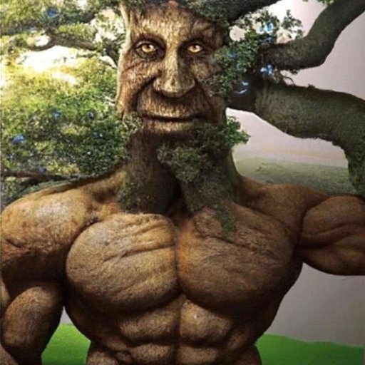 Живое дерево