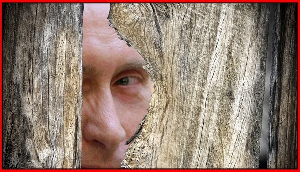 Дерево с лицом