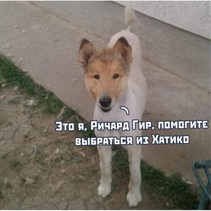 Это я Ричард Гир помогите выбраться