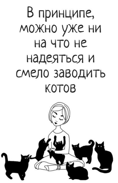 Сильная и независимая женщина с кошками