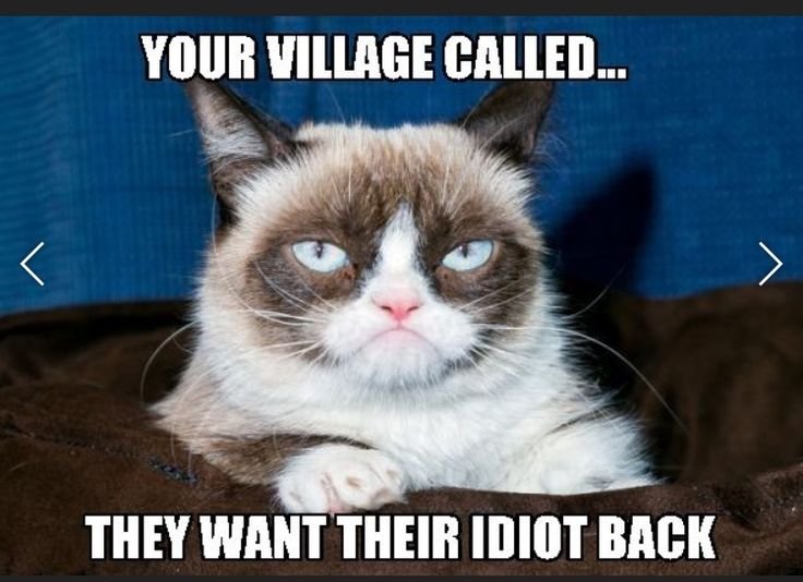 Грампи Кэт порода