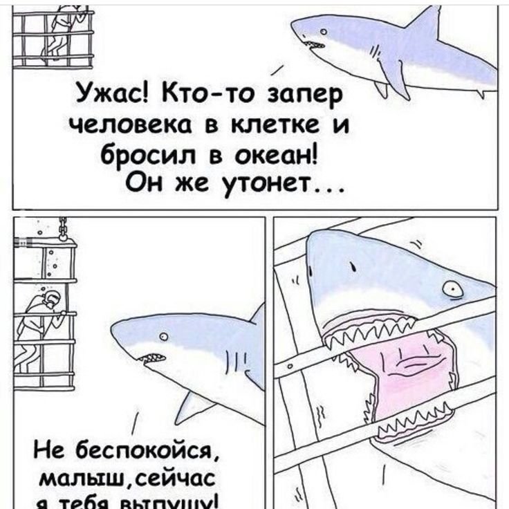 Про акулу и человека