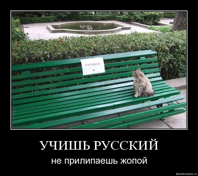 Шутки про грамотность