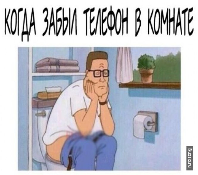 Мемы про сортир