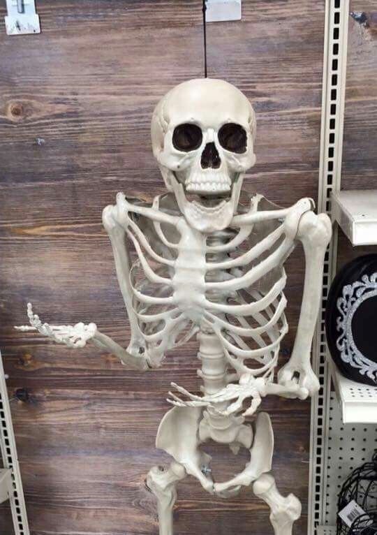 Мемы с крутыми скелетами