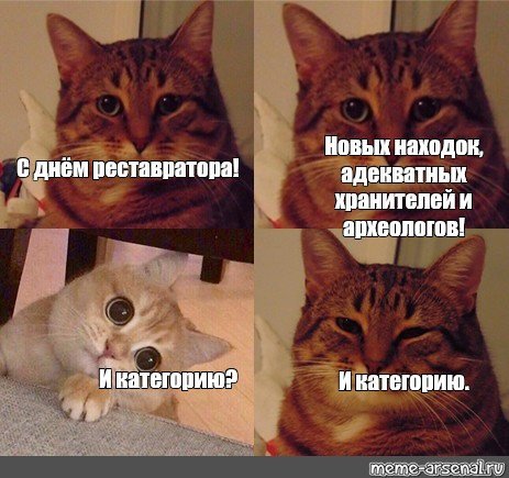 Мемы про котиков