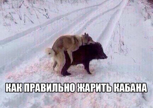 Кончились патроны