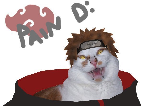 Кот Акацуки