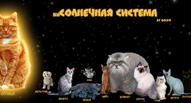 Планеты в виде кошек