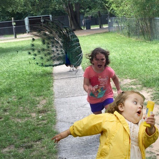 С девушкой бегущей