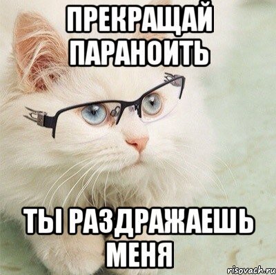 Бесишь Мем кот