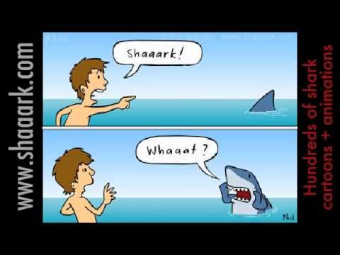 Мемы про акул