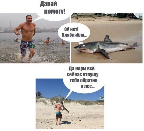 Мем Кличко спасает акулу