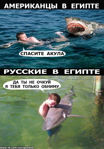 Русские и акулы прикол