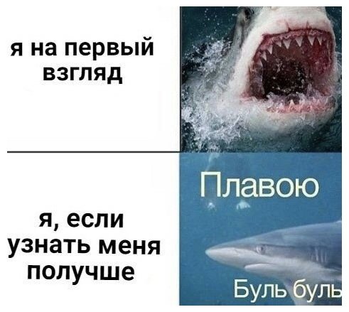 Акула Мем