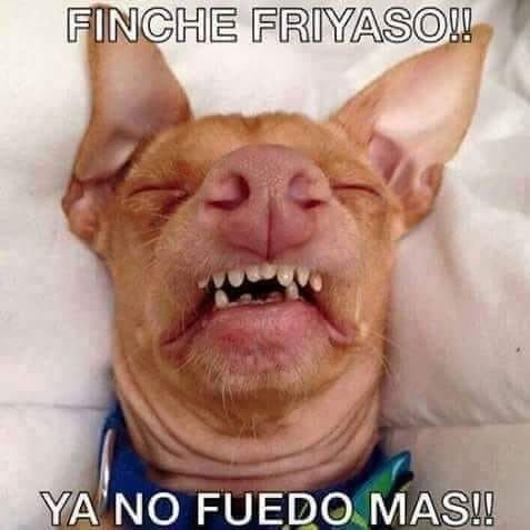 Неправильный прикус у щенка