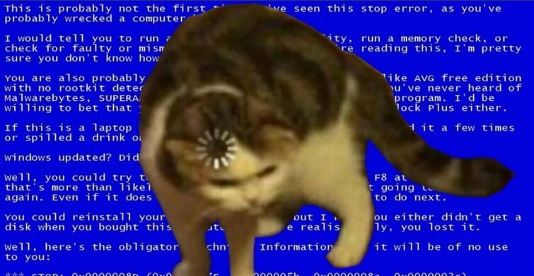 Котик с загрузкой в голове