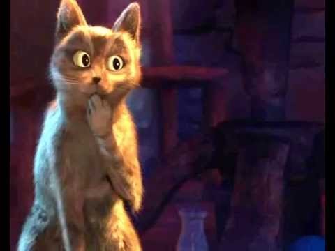 Кот в сапогах удивление