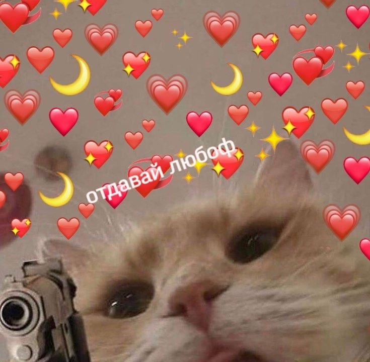 Милый кот Мем