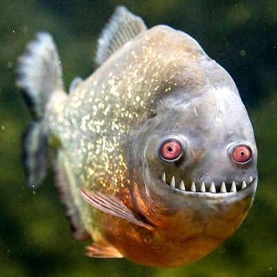 Упоротая рыба