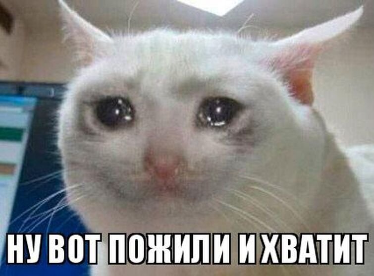 Плачущие коты мемы