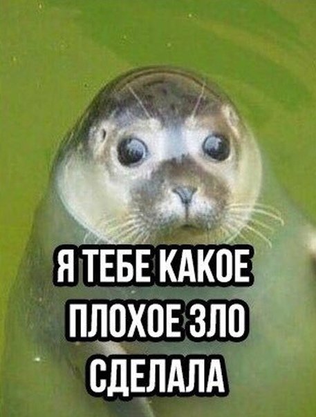 Какое плохое зло тебе сделал