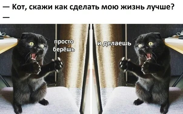 Делайте хорошо а плохо не делайте кот