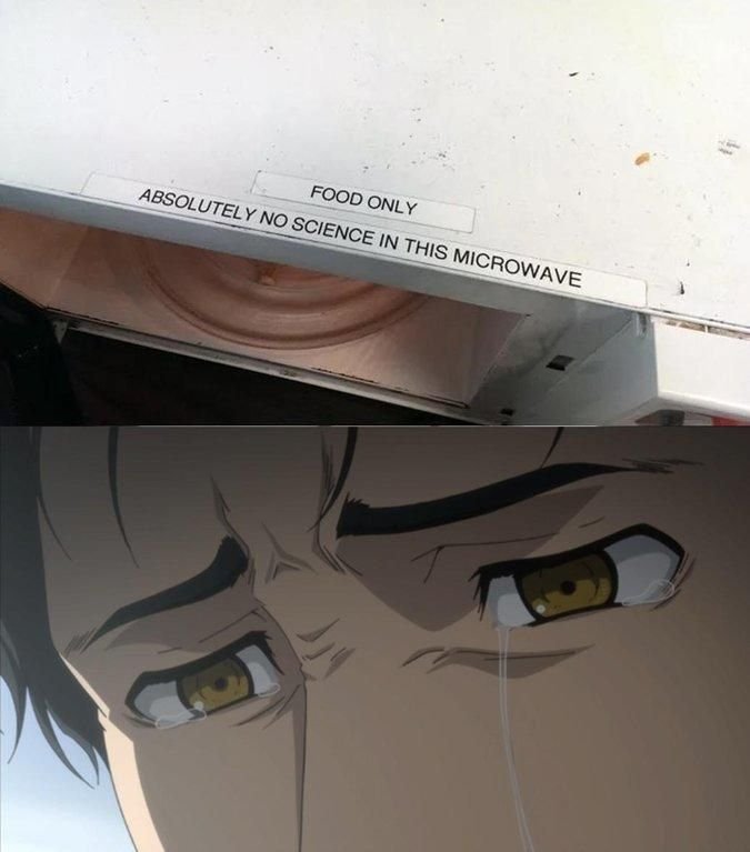 Врата Штейна Мем