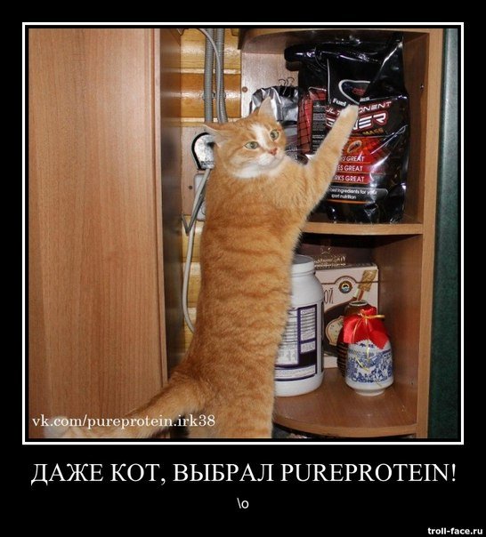 Делайте хорошее а плохое не делайте котик