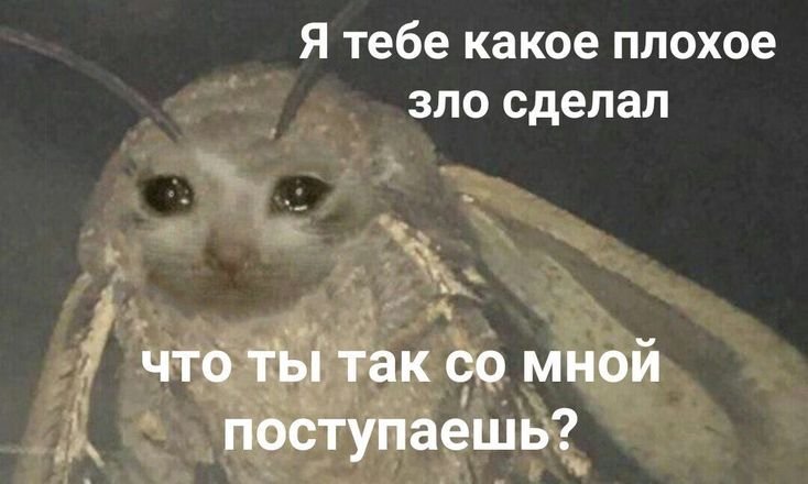 Какое зло я тебе сделал