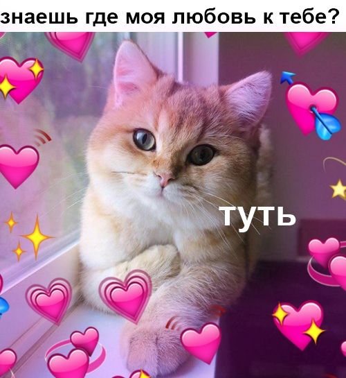 Туть с девушкой