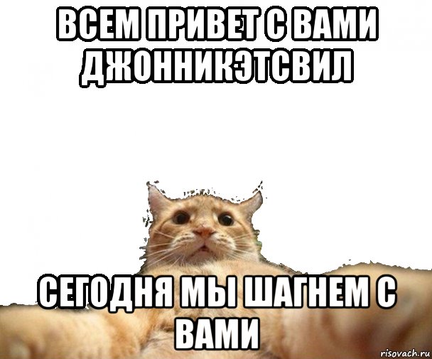 Ничтожество Мем с котом