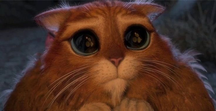 Глаза кота из мультика Шрек