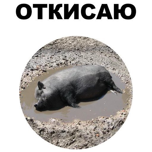 Откисай что значит