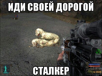 Сталкер иди своей дорогой сталкер