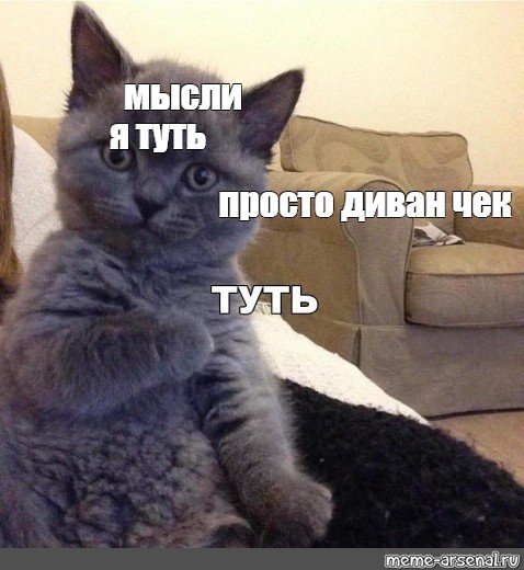 Котик туть Мем