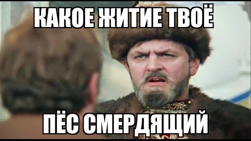 Пёс смердящий Иван Васильевич меняет профессию