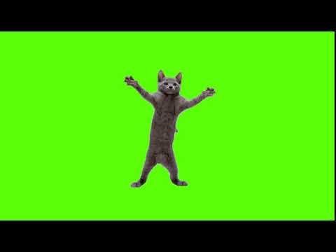 Коты на зелёном фоне