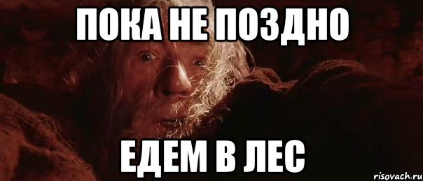 Лесные мемы