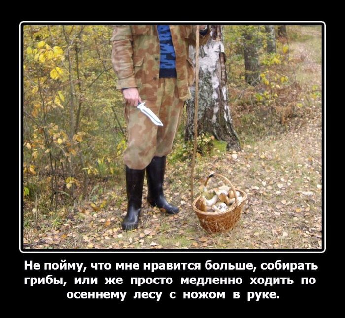 За грибами прикол