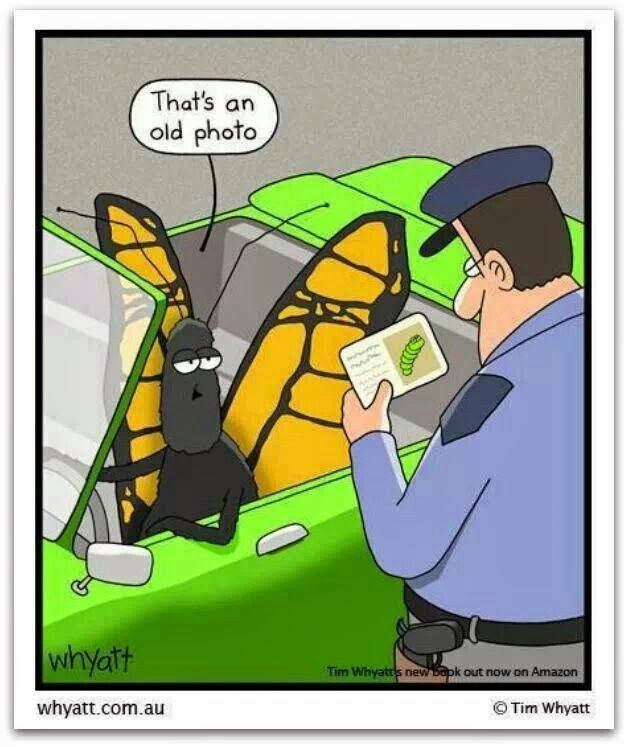 Человек показывает на бабочку